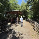 Alpen2025 (13)