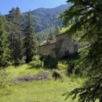 Alpen2025 (33)