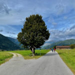 Alpentour © Rainer Palsherm (7)