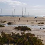 bilder-fuerteventura-2017-von-ingrid-gronert-13