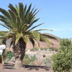 bilder-fuerteventura-2017-von-ingrid-gronert-14