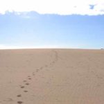 bilder-fuerteventura-2017-von-ingrid-gronert-2