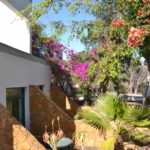 bilder-fuerteventura-2017-von-ingrid-gronert-23