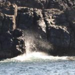 bilder-fuerteventura-2017-von-ingrid-gronert-4