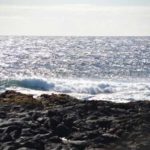 bilder-fuerteventura-2017-von-ingrid-gronert-7