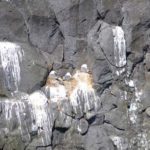 CSC_0047
