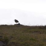CSC_0112