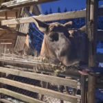 Eiskreuzfahrt Finnland Reise BE-Reisen Busreise (16)