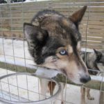 Eiskreuzfahrt Finnland Reise BE-Reisen Busreise (51)