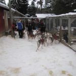 Eiskreuzfahrt Finnland Reise BE-Reisen Busreise (55)