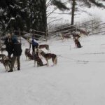 Eiskreuzfahrt Finnland Reise BE-Reisen Busreise (57)