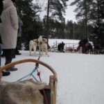 Eiskreuzfahrt Finnland Reise BE-Reisen Busreise (58)