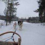 Eiskreuzfahrt Finnland Reise BE-Reisen Busreise (59)