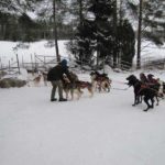 Eiskreuzfahrt Finnland Reise BE-Reisen Busreise (61)