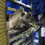 Eiskreuzfahrt Finnland Reise BE-Reisen Busreise (70)