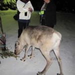 Eiskreuzfahrt Finnland Reise BE-Reisen Busreise (71)