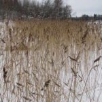 Eiskreuzfahrt Finnland Reise BE-Reisen Busreise (79)