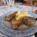 fotos-ischia-2014-von-regina-homeier-16