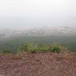 fotos-ischia-2014-von-regina-homeier-24
