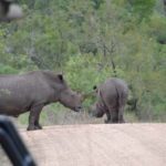 fotos-suedafrika-2014-von-ingrid-gronert-47