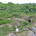 IslandIngrid2024 (10)