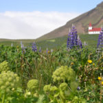 IslandIngrid2024 (101)