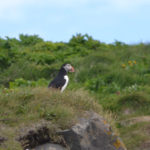 IslandIngrid2024 (11)
