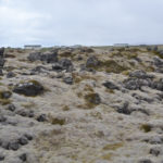 IslandIngrid2024 (29)