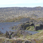 IslandIngrid2024 (35)