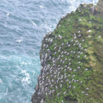 IslandIngrid2024 (38)
