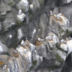 IslandIngrid2024 (39)