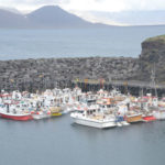 IslandIngrid2024 (41)