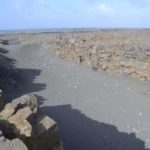 IslandIngrid2024 (46)
