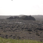IslandIngrid2024 (50)