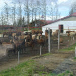 IslandIngrid2024 (86)