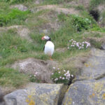 IslandIngrid2024 (9)