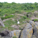 IslandIngrid2024 (98)