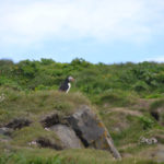 IslandIngrid2024 (99)