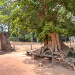 Kambodscha (211)