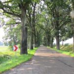 Masuren und Ermland Radfahren Foto 1 (28)