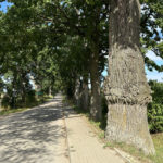Masuren © Rainer Palsherm (16)