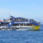 Neuseeland25 (67)