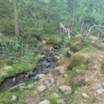 Nordkap25 (78)