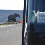 Sardinien 2022 (17)