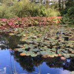 Schottland 22 (16)