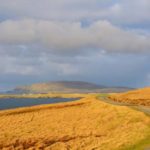 Shetland Kerstin Jahnke (42)
