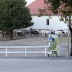 Slowenien25 (170)