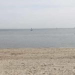 Sylt und Föhr Rahnenführer(21)