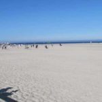 Sylt und Föhr Rahnenführer(31)