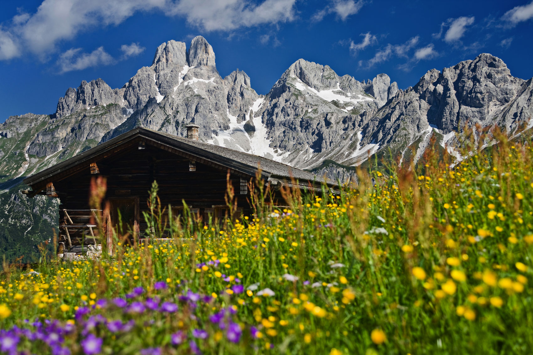Alpen und Donau
